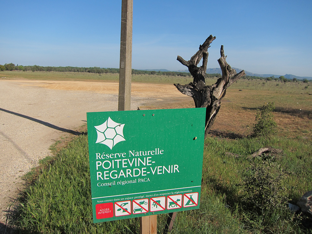 image d'illustration La réserve naturelle de la Poitevine-Regarde-Venir