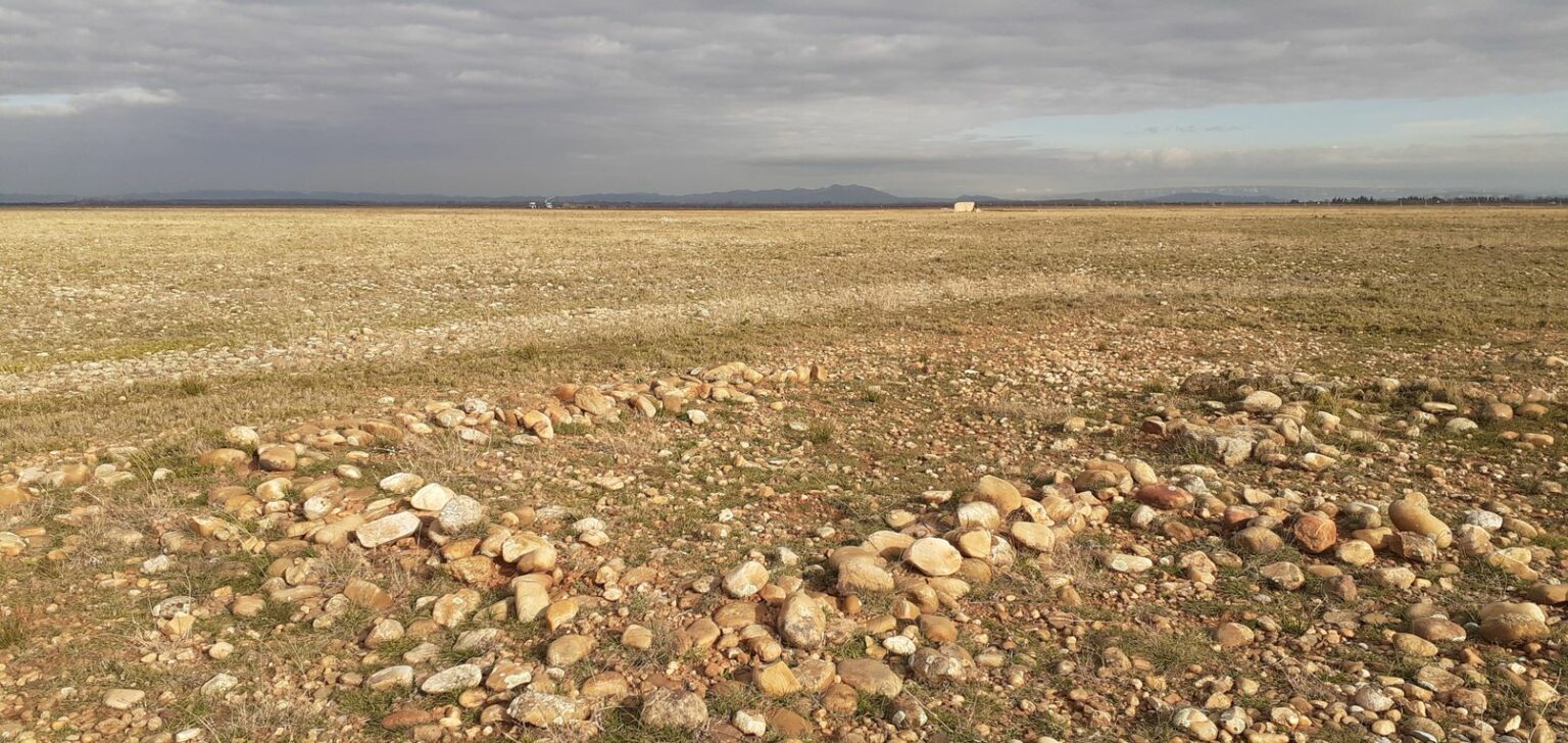 Visite de la Réserve des coussouls
