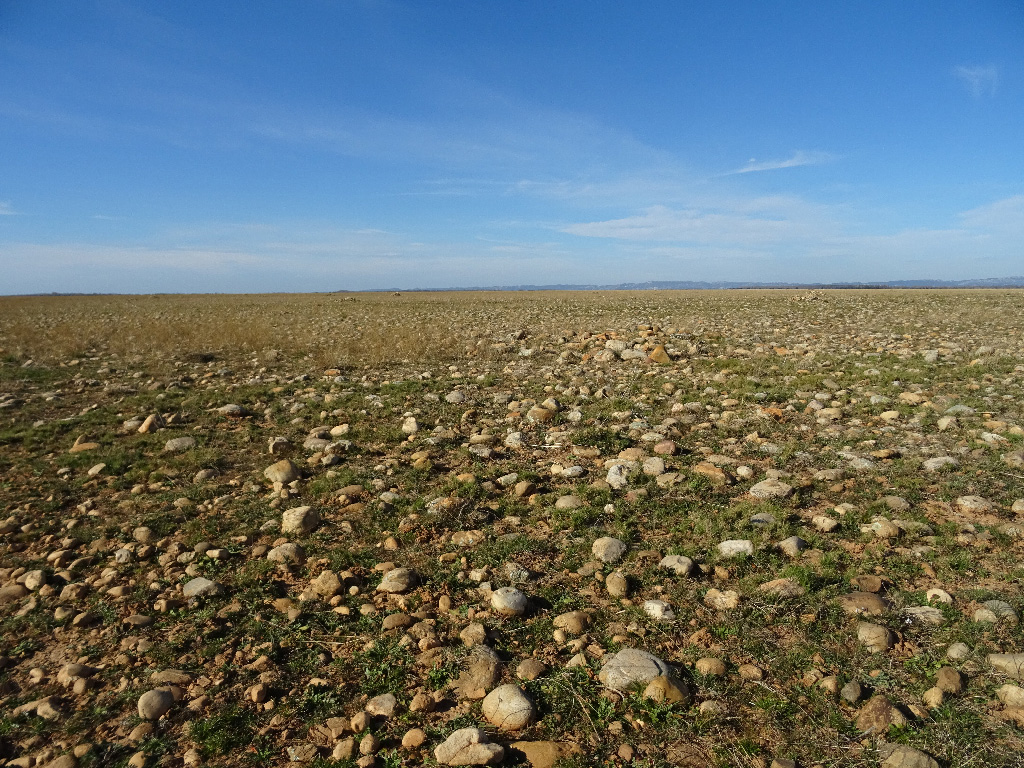 Visite de la Réserve des coussouls