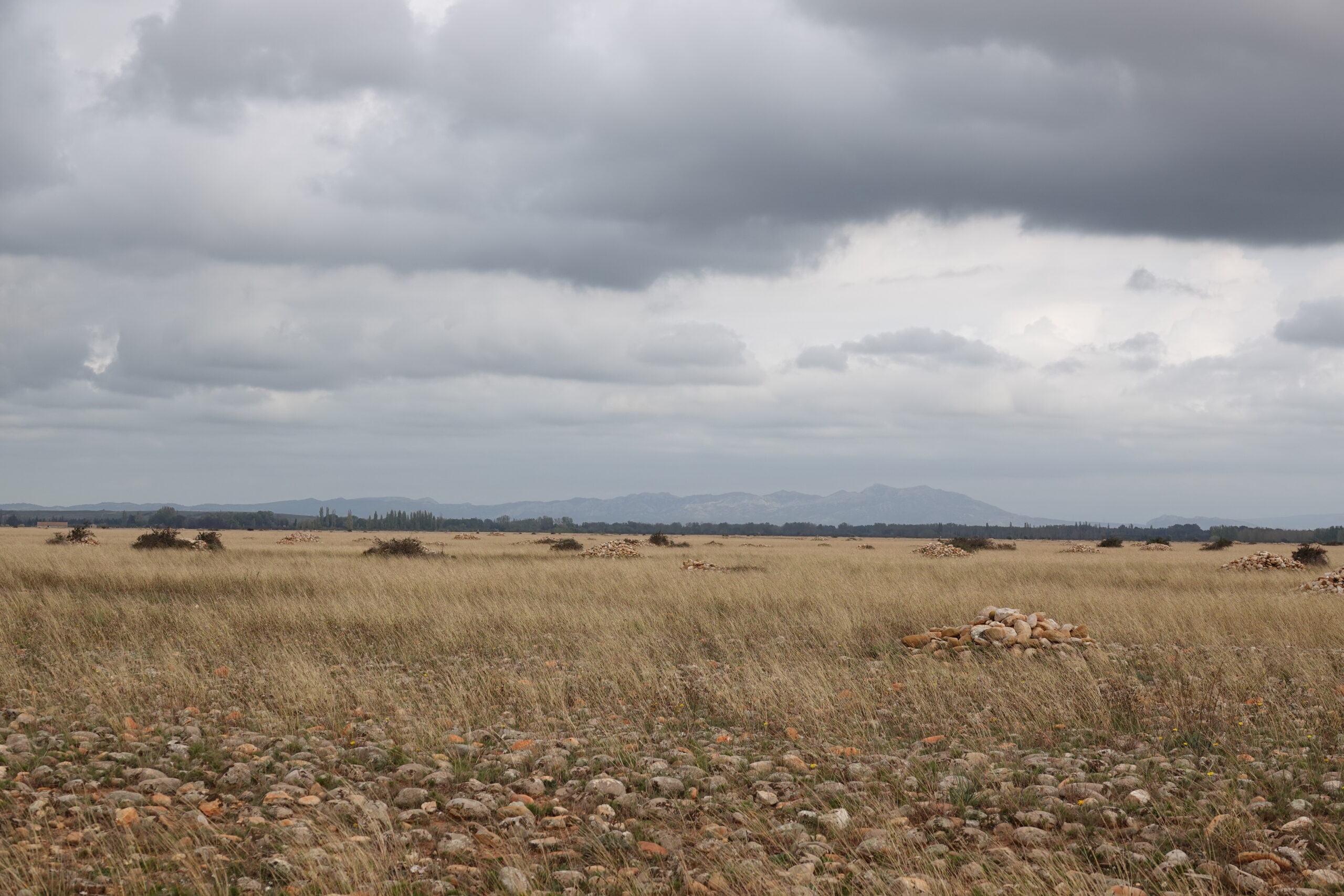 Visite guidée de la Réserve naturelle