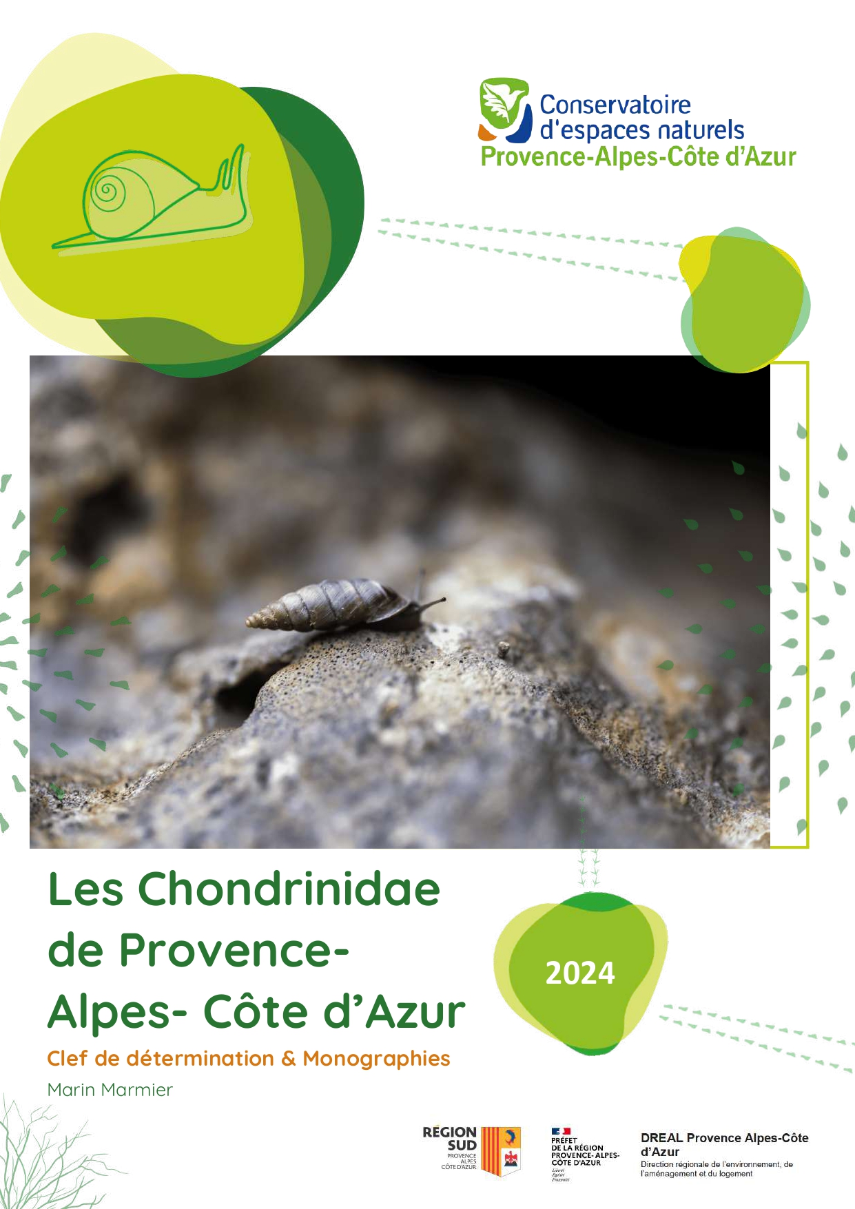 image d'illustration Les Chondrinidae de Provence-Alpes-Côte d'Azur - Clef de détermination & Monographies
