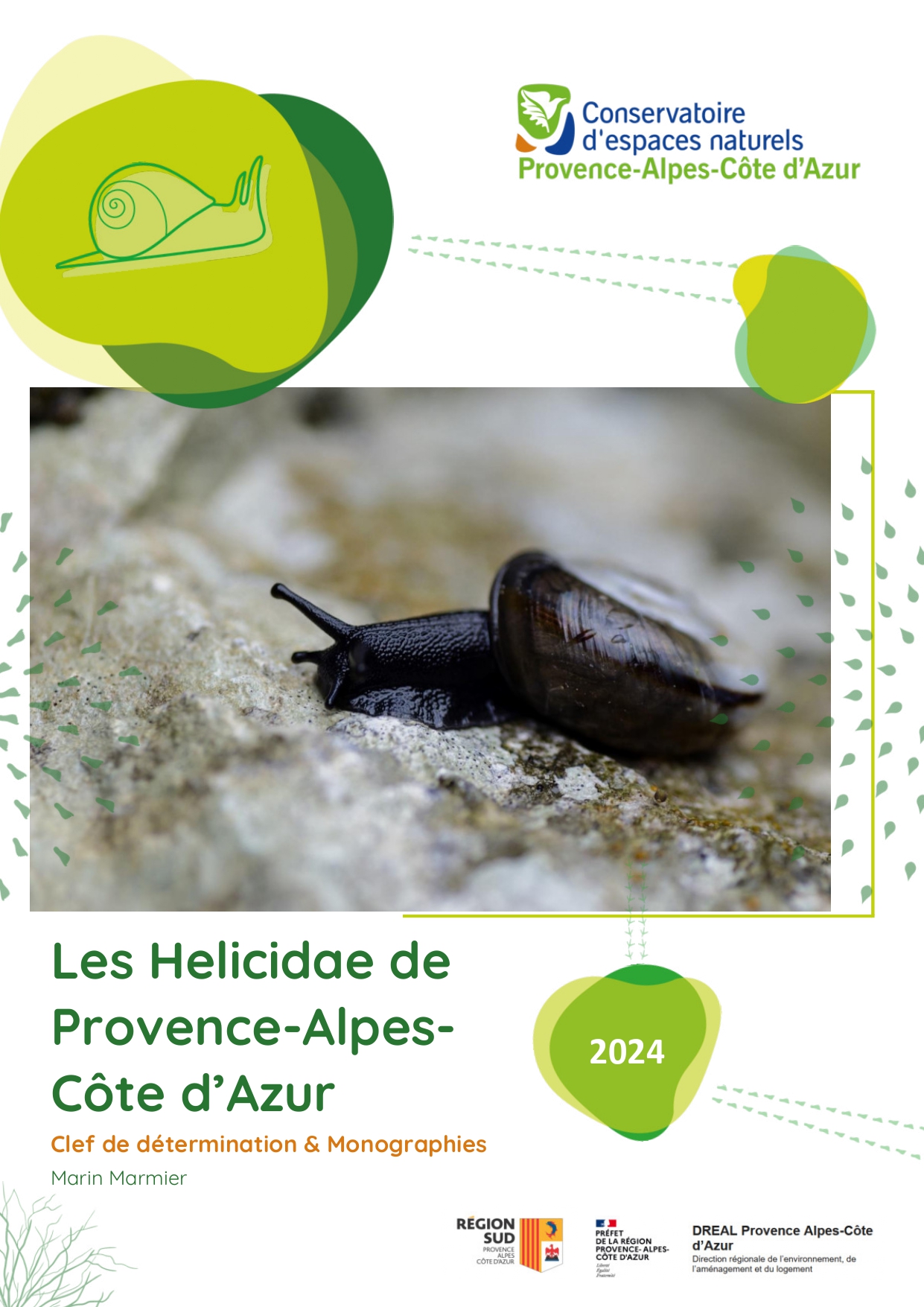 image d'illustration Les Helicidae de Provence-Alpes-Côte d'Azur - Clef de détermination & Monographies