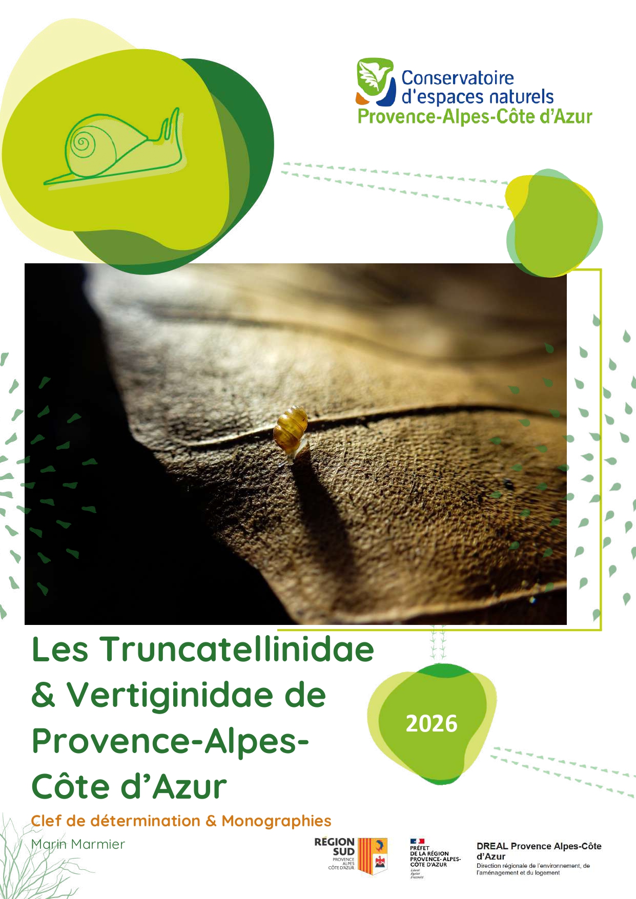 image d'illustration Les Truncatellinidae & Vertiginidae de Provence-Alpes-Côte d'Azur - Clef de détermination & Monographies