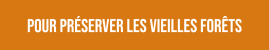 bouton site interne (3)